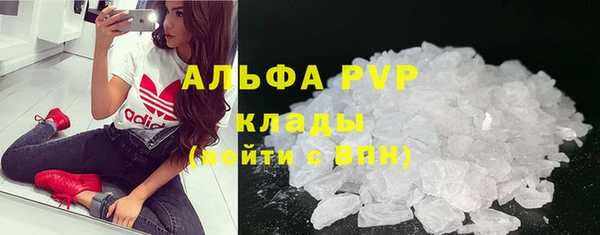 ПСИЛОЦИБИНОВЫЕ ГРИБЫ Майский
