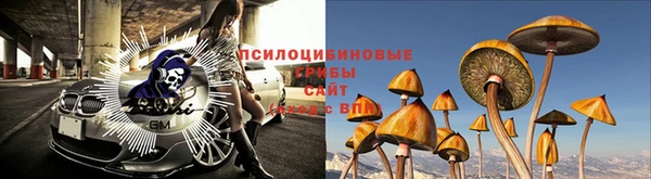 дурь Магас