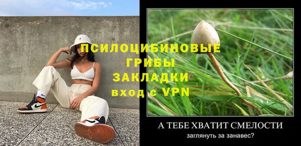 ПСИЛОЦИБИНОВЫЕ ГРИБЫ Майский
