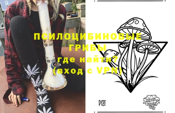 ПСИЛОЦИБИНОВЫЕ ГРИБЫ Майский