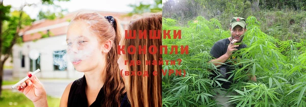 ПСИЛОЦИБИНОВЫЕ ГРИБЫ Майский