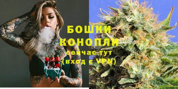 дурь Магас