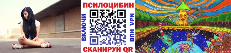 купить наркотик  нарко площадка состав  Галлюциногенные грибы MAGIC MUSHROOMS  Полтавская 
